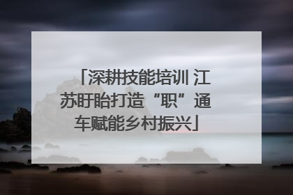 深耕技能培训 江苏盱眙打造“职”通车赋能乡村振兴